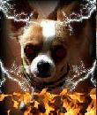 TheEvilChiwawa's Avatar