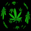 Sickfuc's Avatar