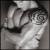DixOffima's Avatar